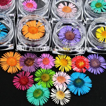 24PCS 12 farieb čerstvé daisy nechty prírodné sušené kvety pre uv gél na nechty arttips dekorácie chryzantéma
