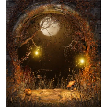 Rozprávkový Hrad Arch Dvere Halloween Pozadie Genie Svietidlá Javorové Listy Stromov Spln Noc, Baby, Deti, Foto Pozadia