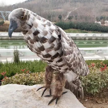 V reálnom živote Vtáčie perie Vtákov gray eagle obrovský 80 cm otvorené krídla orla domov, záhradné dekorácie, party prop darček h1498