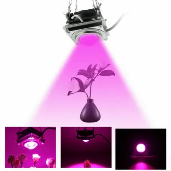 60W COB LED Rásť Svetlo celé Spektrum Rastlín Phytolamp LED Lampa pre Akvarijné Rastliny Kvety Hydroponics Vegs