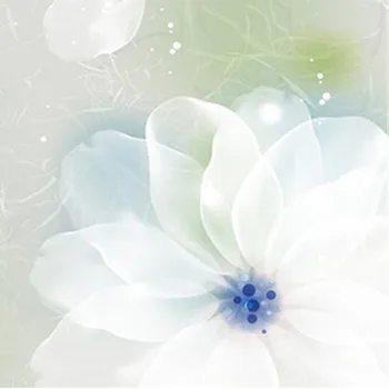 Vlastné Tapetu 3D Biele Kvety Foto nástennú maľbu Transparentné Kvetinové Tapety na Stenu Papiere pre Obývacia Izba Domova Maľovanie