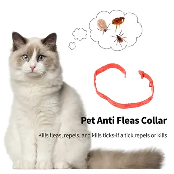 Účinné Odstránenie Anti Velká Kliešť Plastové Komárov Obojky Pet Mačky Psa Nastaviteľné Ochrana Krku Odraziť Odstraňovač Ochrany