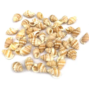 20Pcs Voľné Conch-tvarované Prúžok Shell zobrazili kľúčové tlačidlá Pre DIY Artware Dielo Nábytok, Príslušenstvo pre Šijacie Plavidlá, Šperky