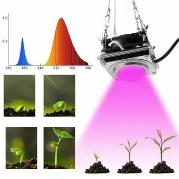 60W COB LED Rásť Svetlo celé Spektrum Rastlín Phytolamp LED Lampa pre Akvarijné Rastliny Kvety Hydroponics Vegs