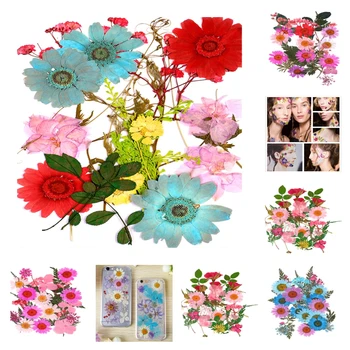 25Pcs Sušené kvety Vylisované Listy pre DIY Scrapbooking Karty, Takže Embellishment