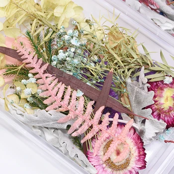 1 Box Reálne Sušené Kvety, Suché Rastliny Pre Aromaterapiu Sviečka Expoxy Prívesok Náhrdelník Šperky Robiť Plavidlá DIY Príslušenstvo Náhodný
