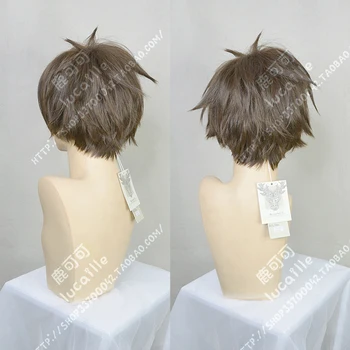 Anime Card Captor Sakura Touya Kinomoto Cosplay Parochňu Krátke Hnedé Tepelne Odolných Syntetických Vlasy, Parochne + Parochňu Spp