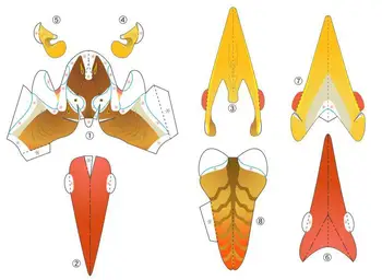 Zuby-free Pterosaur Geometrie Ručné DIY Papier-cut Kreatívne detské Vzdelávacie Hračky trojrozmerný Model