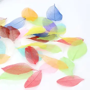 50 Ks Zmiešané Farby Prírodné Kostra Listy Stlačené Kvet pre Šperky Robiť
